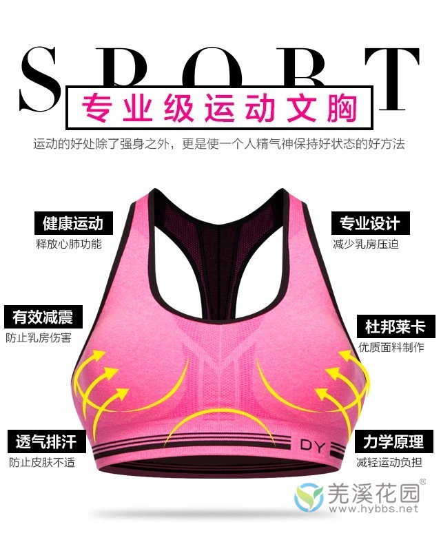 戴奕运动内衣_运动内衣(3)